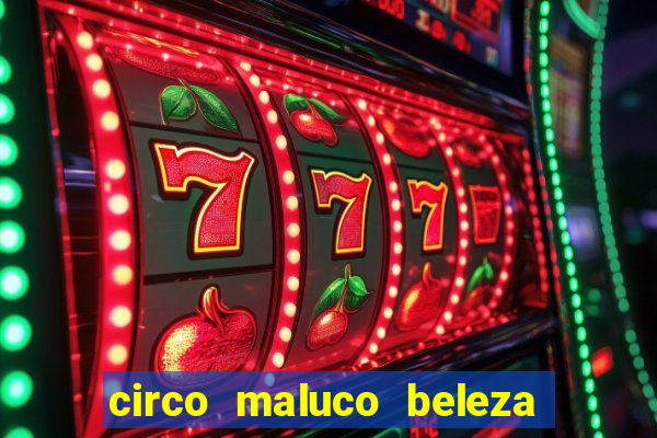 circo maluco beleza recife circo maluco